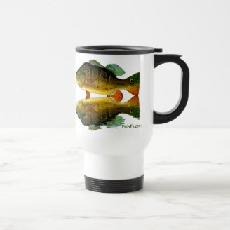 Reflections of Fish Mugs