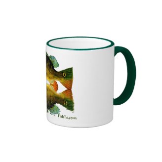 Reflections of Fish Mugs