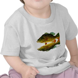 Reflections of Fish Tee Shirt