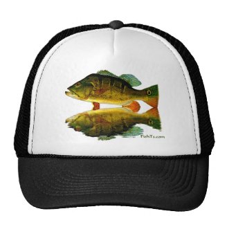 Reflections of Fish Trucker Hat
