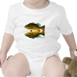 Reflections of Fish