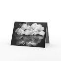 Reflections of Love cards