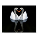 Reflections of Love, Heart Shape, White Swans posters