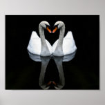 Reflections of Love, Heart Shape, White Swans Print