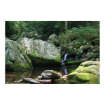Reflections of Mineral Creek posters by jetkrazee Reflections of Mineral Creek posters