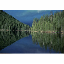Reflections on a Lake photo sculptures