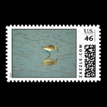 Reflections stamps