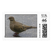 Reflections postage by gfrbf3761 Reflections postage