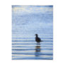Reflections Postcard