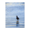 Reflections postcards