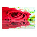 Reflections posters by samack Reflections posters