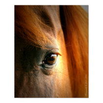 Reflections posters by ruralexpressions Reflections posters