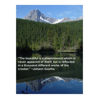 Reflections Print by westbnsf