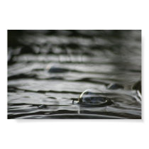 Reflections posters by SilentScreams Reflections posters