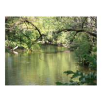 Reflections posters