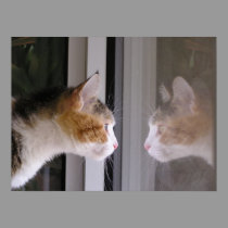 Reflections posters