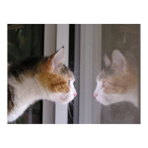 Reflections posters by okcshelter Reflections posters