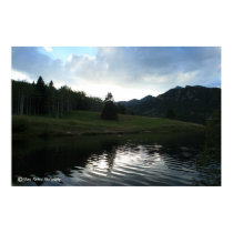 Reflections posters