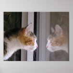 Reflections Print