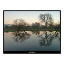 Reflections - Sonoma, CA posters