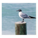 Reflective Bird posters