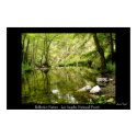 Reflective Nature posters