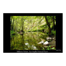 Reflective Nature posters