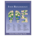 Reflexology chart  - Blue Flyer Design