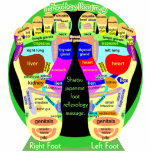 reflexology foot map acrylic cut out