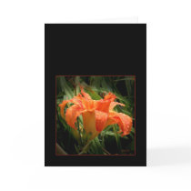 Refreshed Card