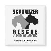 Refrigerator Magnet by SchnauzerRescue Refrigerator Magnet