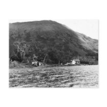 Refuge Buildings on Karluk Lake Postcard