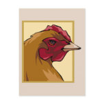 Regal Chicken Postcard
