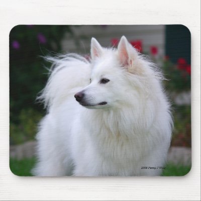 Regal Eskie Mousepad by Sunstruck