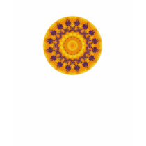 Regal Kaleidoscope t-shirts by kalos_eidos Regal Kaleidoscope t-shirts