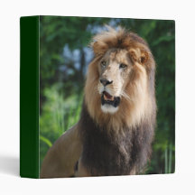 Regal Lion Binder