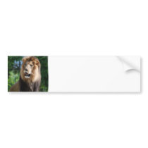Regal Lion Bumper Sticker