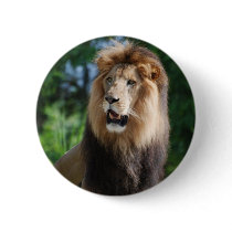 Regal Lion Button