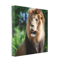 Regal Lion Canvas Print