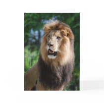 Regal Lion Greeting Cards