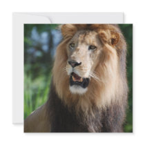 Regal Lion Invitations