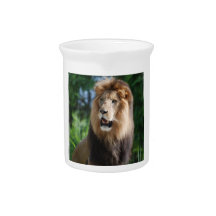 Regal Lion  Pitcher