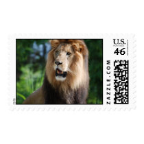Regal Lion Postage Stamp