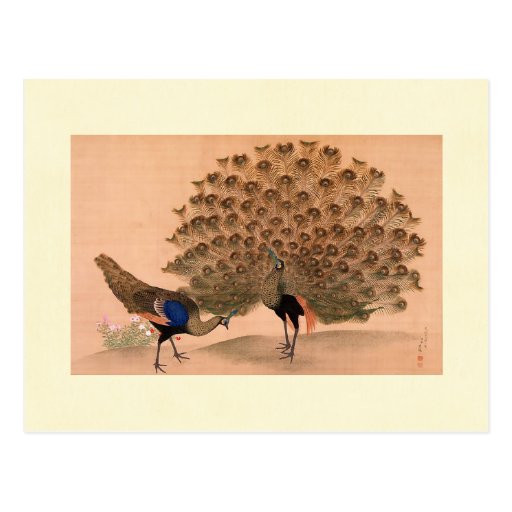Regal Peacocks Postcards