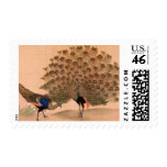 Regal Peacocks Stamps