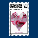 Regal Pelargonium U.S. Postage stamps
