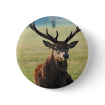 Regal Red Deer Button