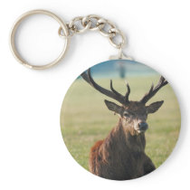 Regal Red Deer Key Chain
