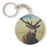 Regal Red Deer Key Chain