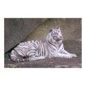 Regal Repose posters by Nat_Ink Regal Repose posters